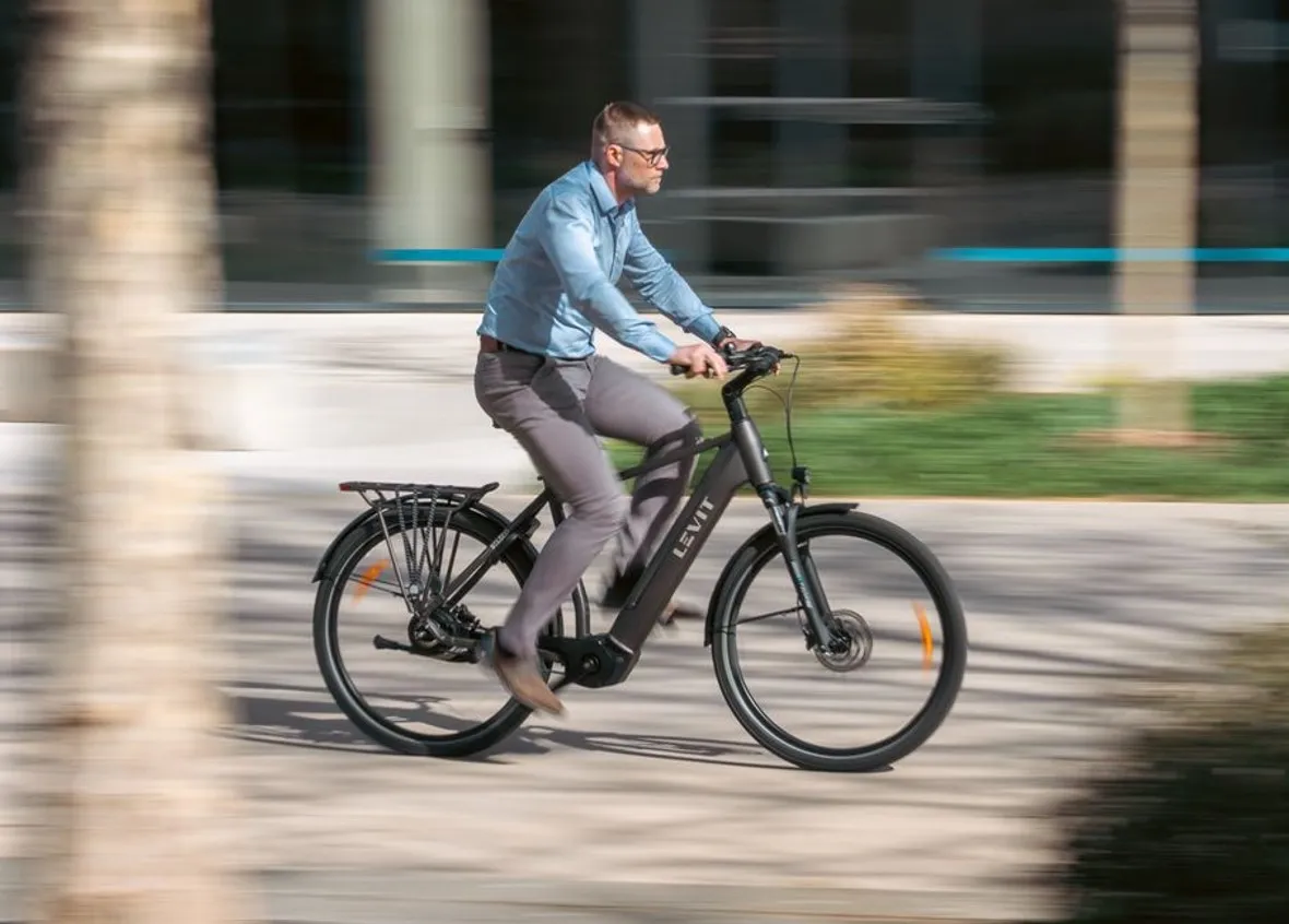 fahrradanhänger für babys Fahrradanhänger Babysitz 1 Sitz Einsatz main image 0