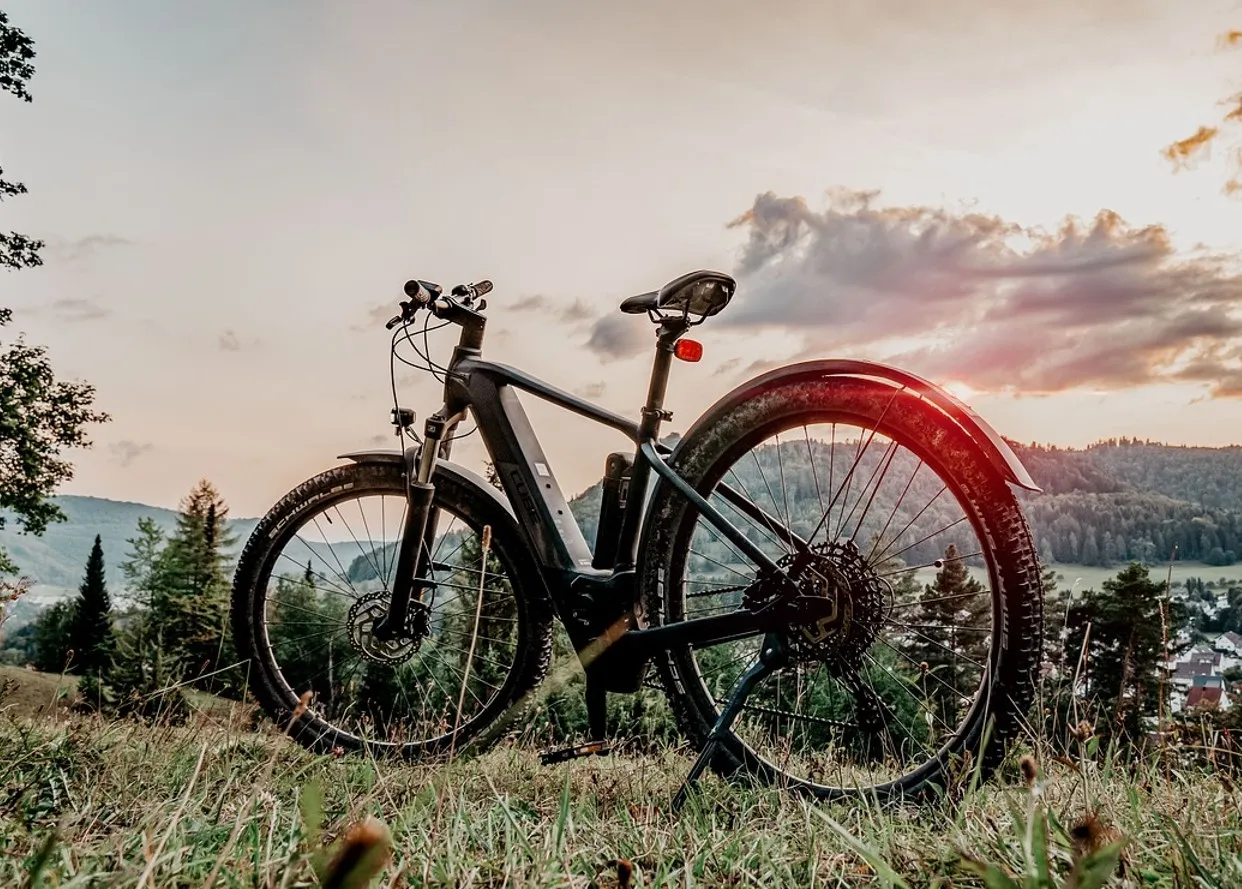 Are Chinese sourced electric bikes about to step up a gear? | Cycling  Electric