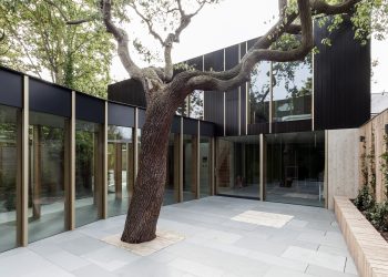 Pear Building Design Pear Tree House - AJ Buildings Library