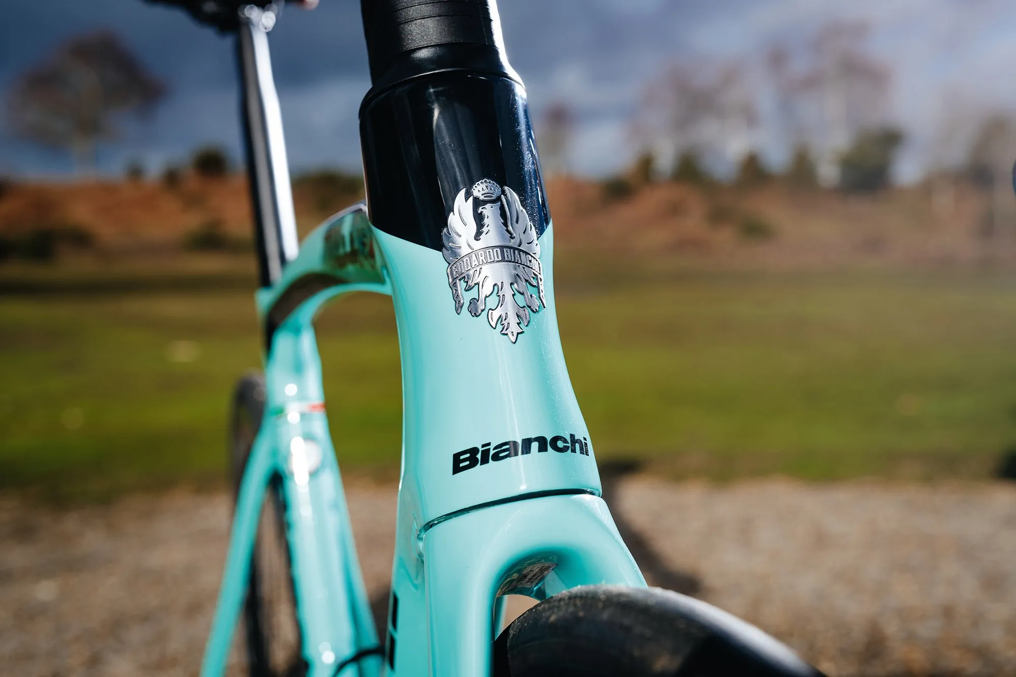 Bianchi OLTRE XR4 di2 CV DISC 2020年モデル 2020 Bianchi Oltre XR4 Ultegra Di2 – Specs, Comparisons, Reviews
