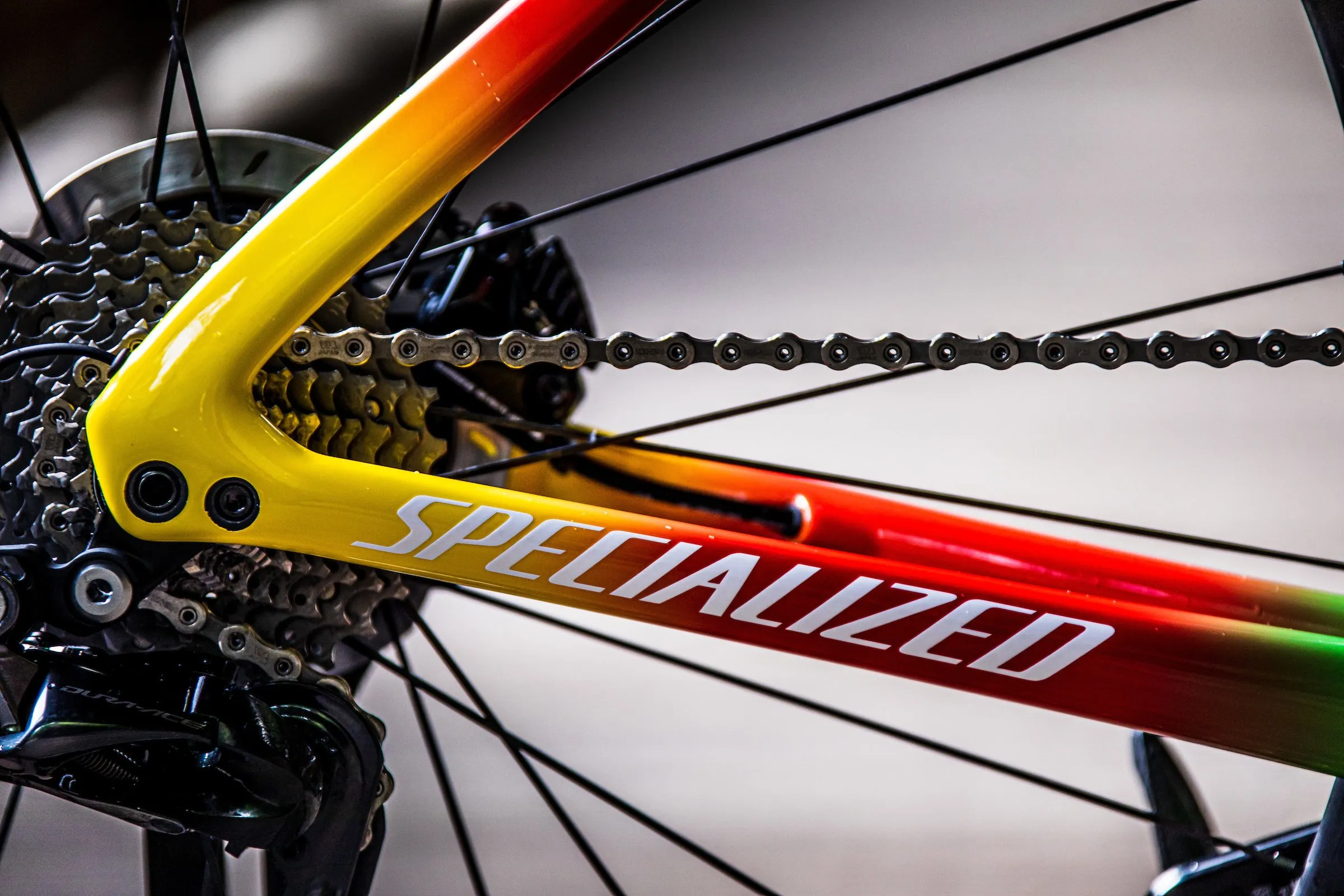 Check out Julian Alaphilippe's World Champion edition Specialized