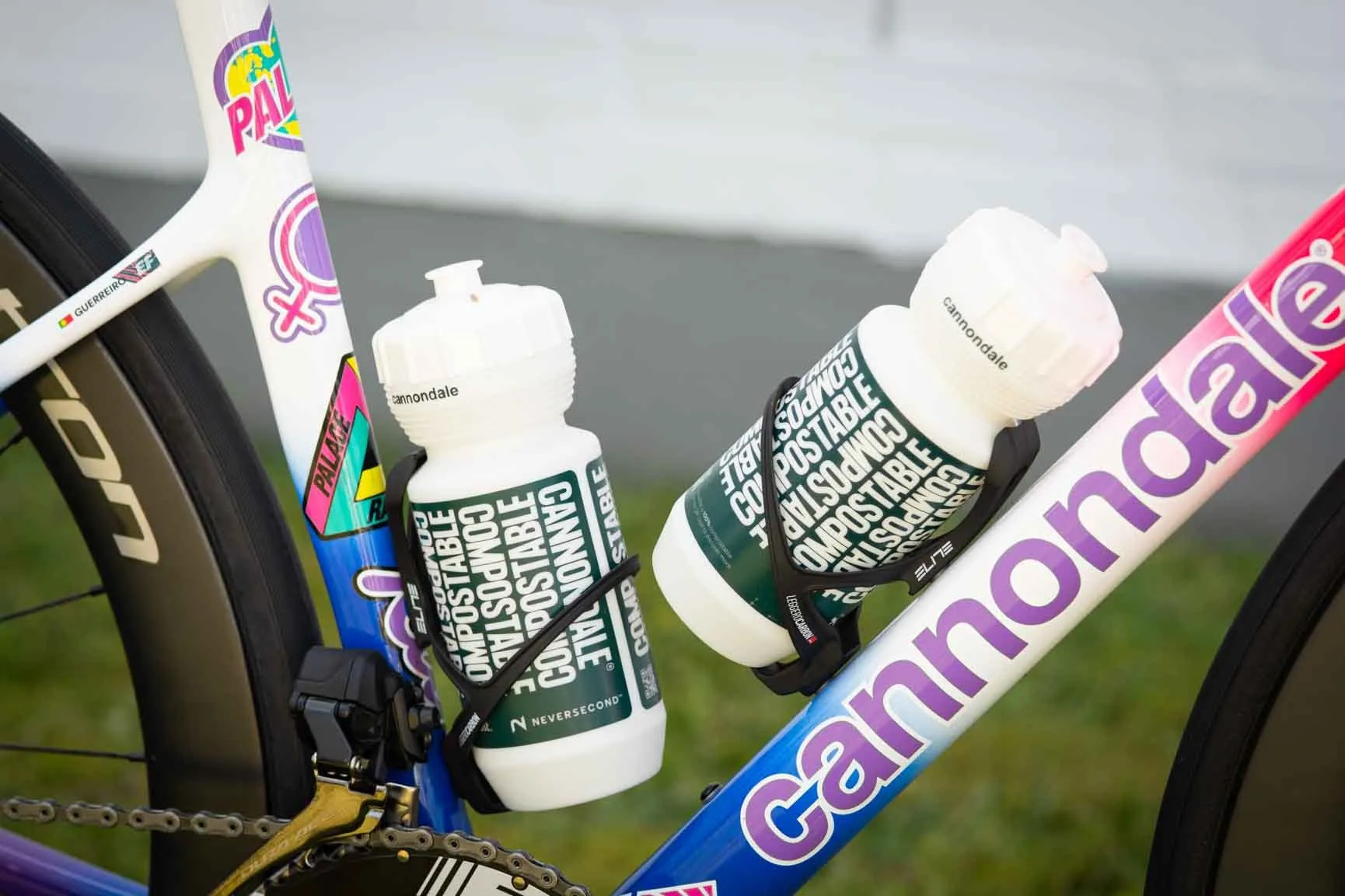 Tour de France bikes: Ruben Guerreiro's Rapha × Palace Cannondale