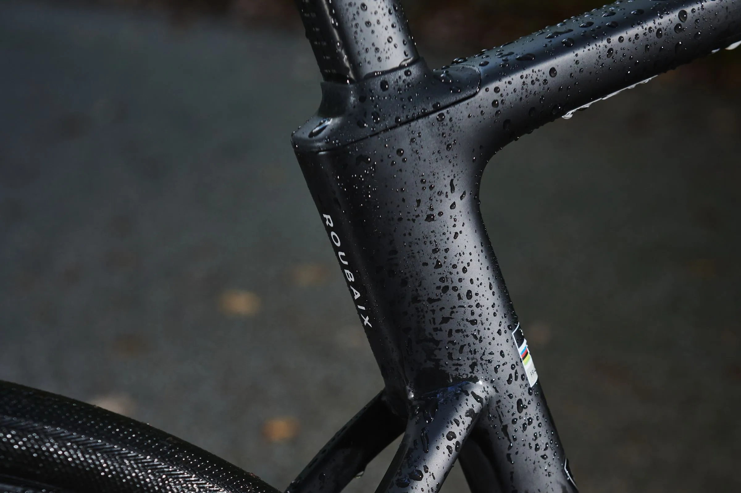 New Cannondale Synapse vs Specialized Roubaix vs Trek Domane | Cyclist