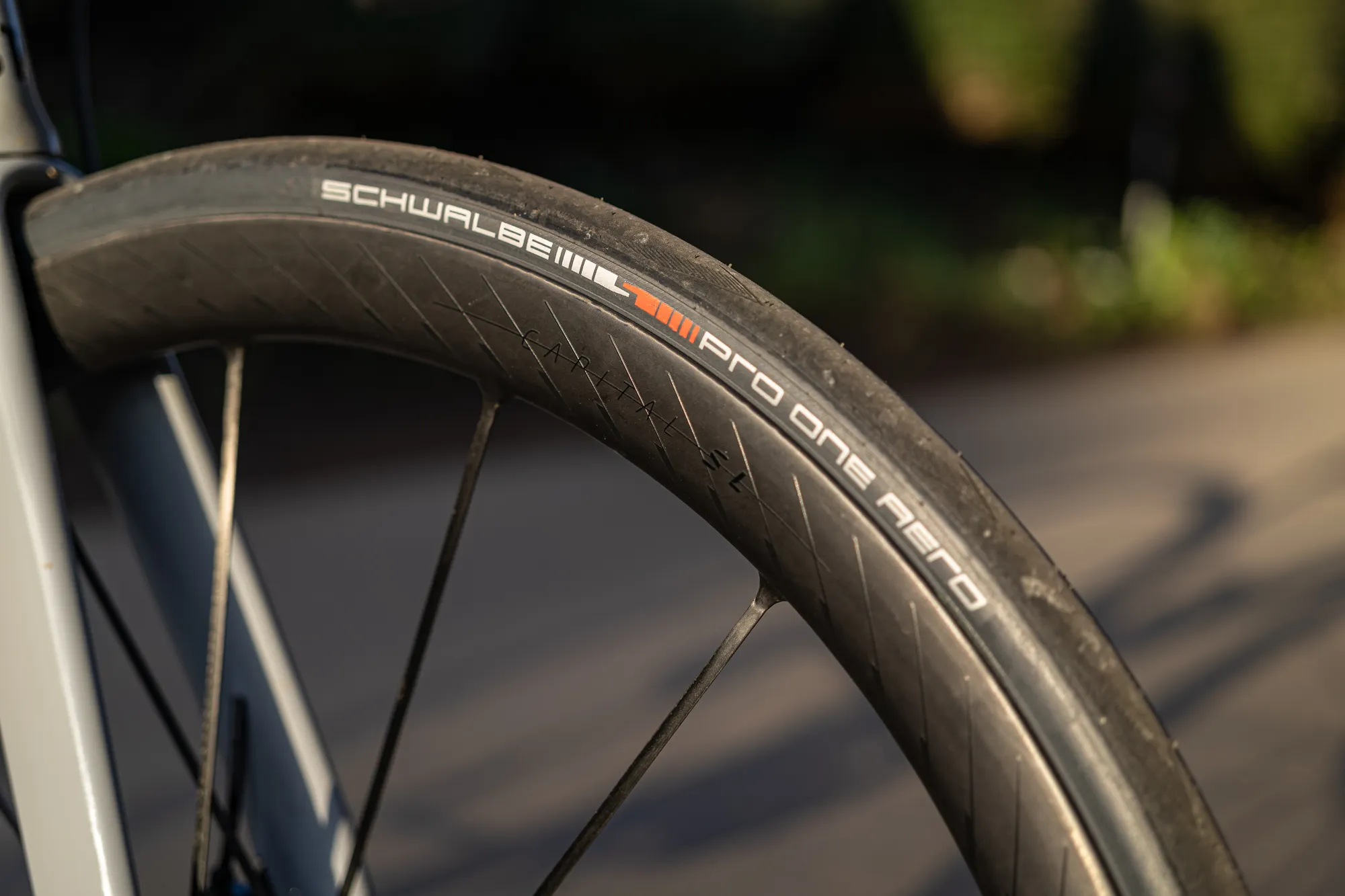 Syncros Capital SL bicycle wheels