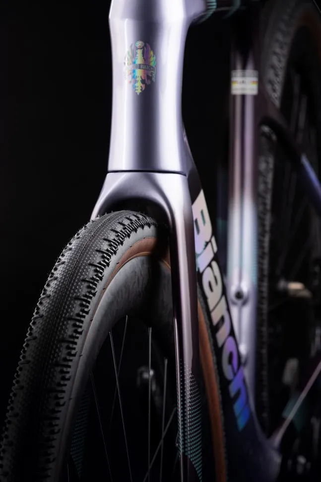 bianchi-infinito-26-4-647x970